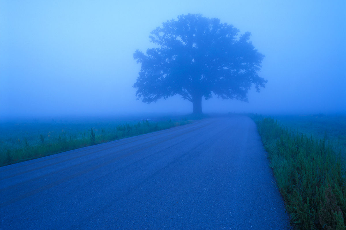 The Blue Highways legacy
